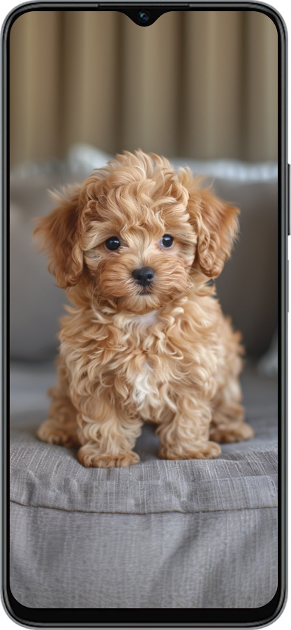 Силиконовый чехол Mini-maltipoo для Huawei Honor X8 5G - 6158u-4149 изображение 