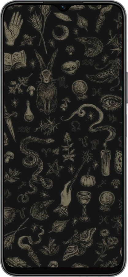 Силиконовый чехол Мистический коллаж с травами и магическими символами для Huawei honor X6 - 6428u-3341 изображение 