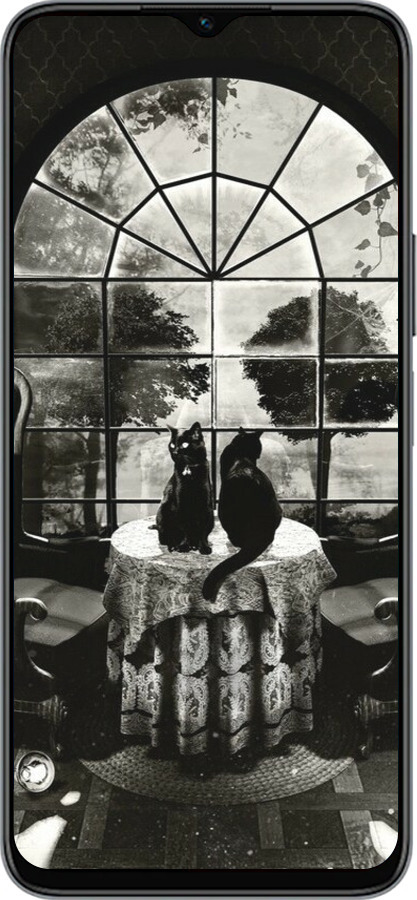 Силиконовый чехол Череп и коты для Huawei honor X6 - 6432u-3341 изображение 