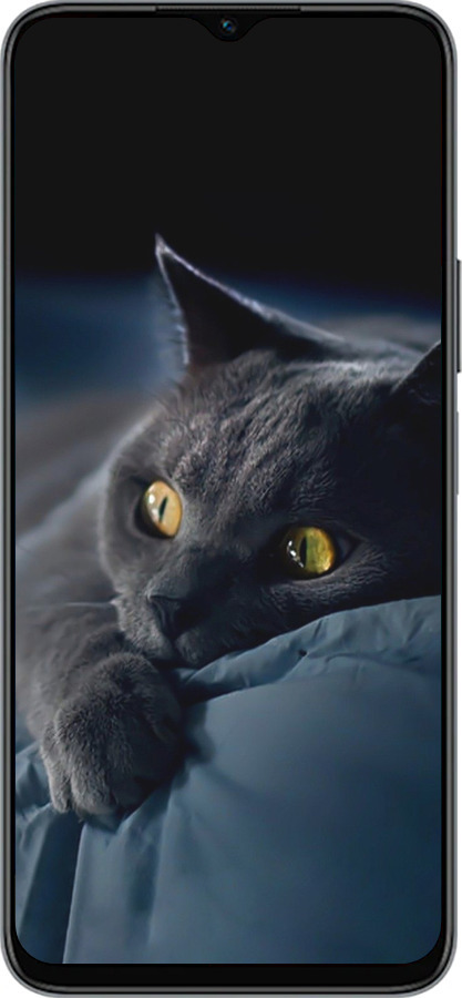 Силиконовый чехол Дымчатый кот для Huawei honor X6 - 825u-3341 изображение 