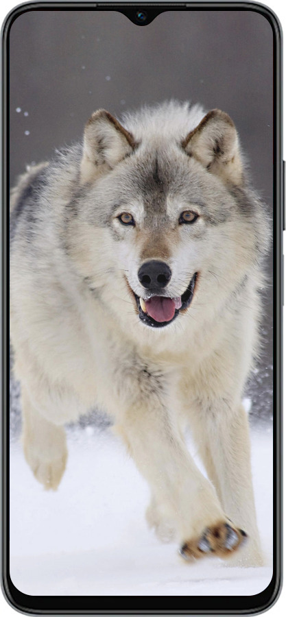 Силиконовый чехол Бегущий волк для Huawei Honor X8 5G - 826u-4149 изображение 