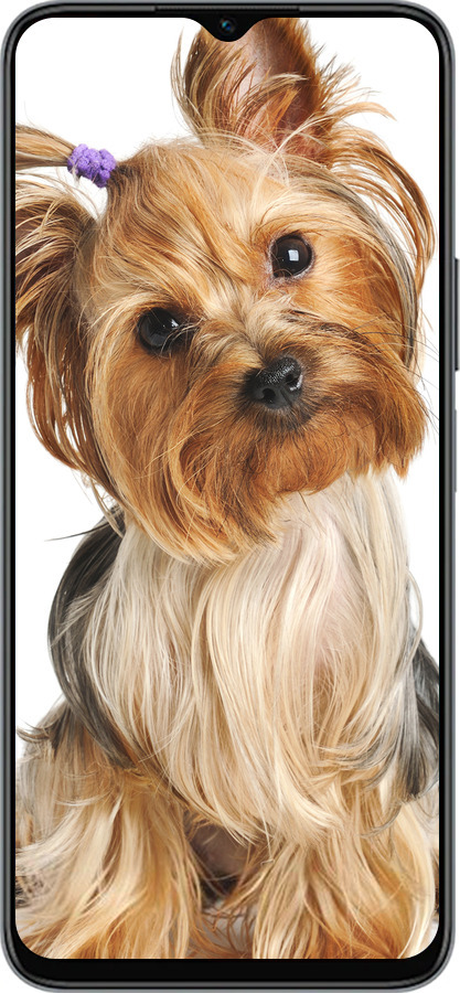 Силиконовый чехол Йоркширский терьер с хвостиком для Huawei honor X6 - 930u-3341 изображение 