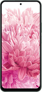 Силіконовий чехол Хризантема для Huawei Honor X7c - 4666u-3874 изображение 