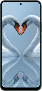 Силиконовый чехол Лебеди для Huawei Honor X7c - 6007u-3874 изображение 