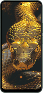 Силиконовый чехол Golden snake для Huawei Honor X7c - 6072u-3874 изображение 