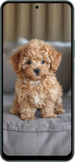 Силиконовый чехол Mini-maltipoo для Huawei Honor Play 60 Plus - 6158u-4109 изображение 