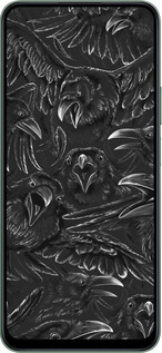 Силиконовый чехол Воронья ярость для Huawei Honor X7c - 6474u-3874 изображение 