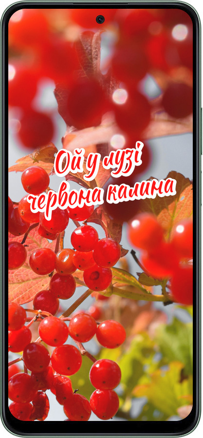 Силиконовый чехол Калина для Huawei Honor X7c - 5454u-3874 изображение 