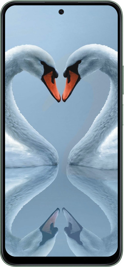 Силиконовый чехол Лебеди для Huawei Honor X7c - 6007u-3874 изображение 