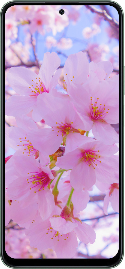 Силиконовый чехол Сакура для Huawei Honor X7c - 6029u-3874 изображение 