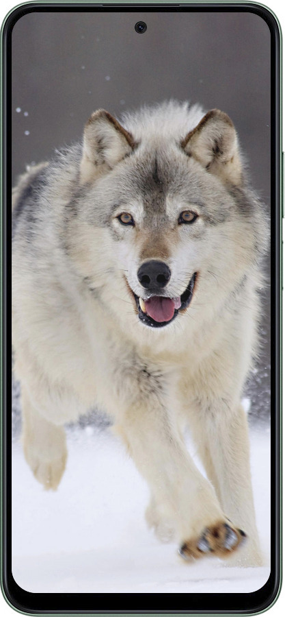 Силіконовий чехол Вовк, що біжить для Huawei Honor X7c - 826u-3874 изображение 