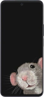 Силиконовый чехол The Peeking Rat для Huawei Honor X8a - 6442u-2963 изображение 