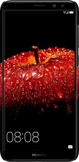 3D пластиковый матовый чехол Яблоко для Huawei Mate 10 Lite - 6022m-1240 изображение 