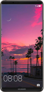 TPU чехол Пальми для Huawei Mate 10 Pro - 5873b-1138 изображение 