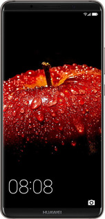 2D пластиковий чехол Яблуко для Huawei Mate 10 Pro - 6022t-1138 изображение 