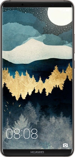 2D пластиковый чехол Ночной пейзаж с лесом и горами для Huawei Mate 10 Pro - 6493t-1138 изображение 