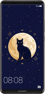 2D пластиковий чехол Cute Cat Celestial/Witchy для Huawei Mate 10 Pro - 6787t-1138 изображение 