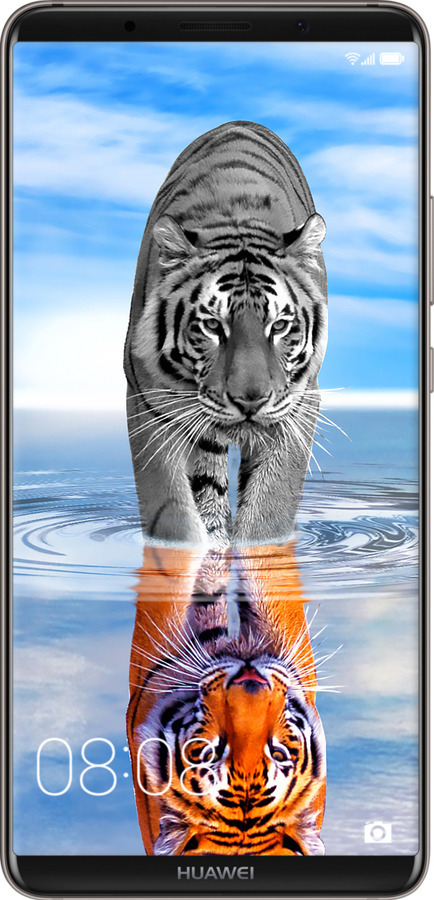Силіконовий чехол Тигр для Huawei Mate 10 Pro - 6016u-1138 изображение 