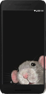 3D пластиковый глянцевый чехол The Peeking Rat для Huawei Nexus 6P - 6442c-148 изображение 
