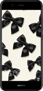 2D пластиковый чехол Dark Coquette для Huawei Nova 2 - 6765t-1021 изображение 