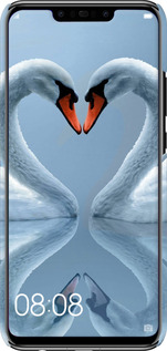 3D пластиковый матовый чехол Лебеди для Huawei Nova 3 - 6007m-1535 изображение 