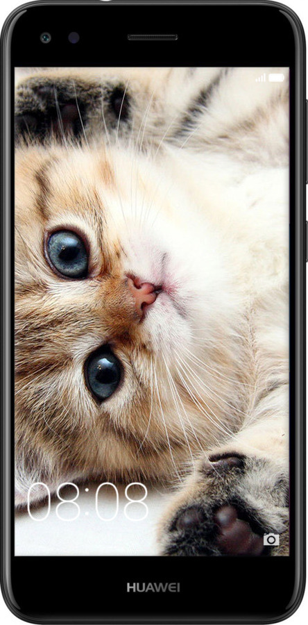 TPU чехол Котик для Huawei Nova Lite 2017 - 6024b-1400 изображение 