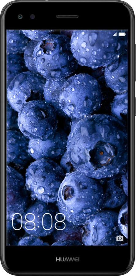2D пластиковый чехол Голубика для Huawei Nova Lite 2017 - 4459t-1400 изображение 