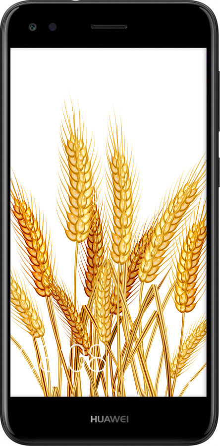 2D пластиковый чехол Колоски пшеници для Huawei Nova Lite 2017 - 5866t-1400 изображение 