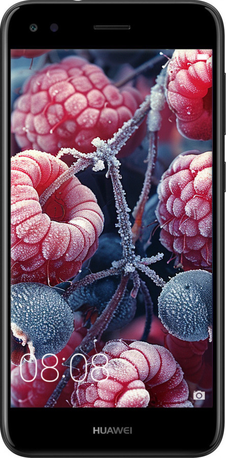 Силіконовий чехол Морозні ягоди для Huawei Nova Lite 2017 - 6033u-1400 изображение 