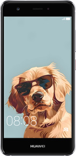 2D пластиковый чехол Пес в очках для Huawei Nova - 6381t-439 изображение 