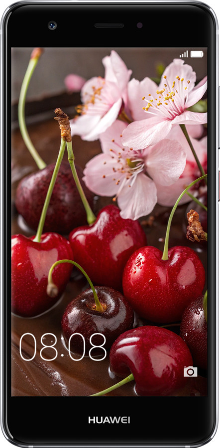 2D пластиковый чехол Вишня в шоколаде для Huawei Nova - 6698t-439 изображение 
