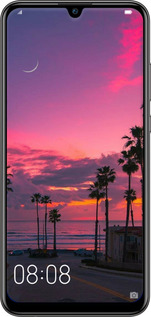 2D пластиковий чехол Пальми для Huawei P Smart 2019 - 5873t-1634 изображение 