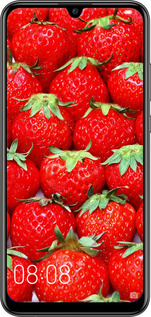 2D пластиковий чехол Полуниця для Huawei P Smart 2019 - 6020t-1634 изображение 