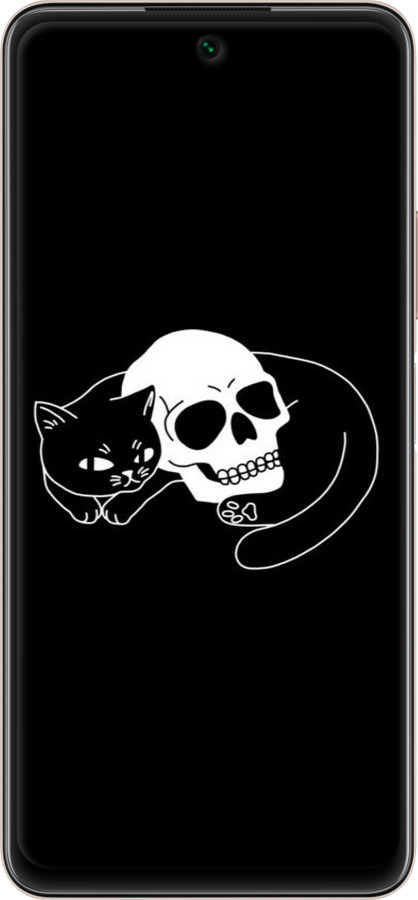 TPU чехол Із зображенням кота та черепа для Huawei P Smart 2021 - 6491b-2100 изображение 