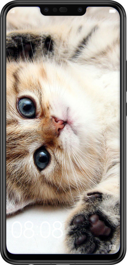 Силиконовый чехол Котик для Huawei Nova 3i - 6024u-1541 изображение 