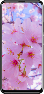 TPU чехол Сакура для Huawei P Smart Pro - 6029b-1906 изображение 