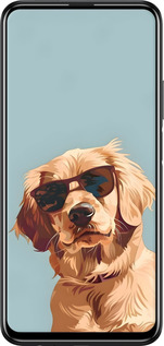 2D пластиковий чехол Пес в очках для Huawei P Smart Pro - 6381t-1906 изображение 