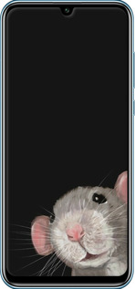 Силиконовый чехол The Peeking Rat для Huawei P Smart S - 6442u-1813 изображение 