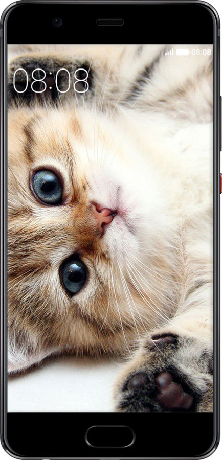 2D пластиковий чехол Котик для Huawei P10 Plus - 6024t-963 изображение 