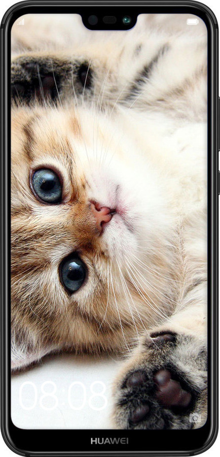 TPU чехол Котик для Huawei P20 Lite - 6024b-1410 изображение 