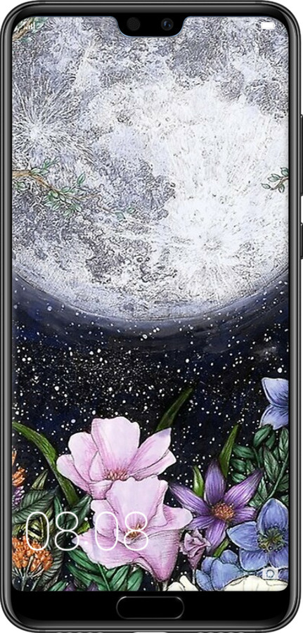 TPU чехол Полночь в саду для Huawei P20 Pro - 6259b-1470 изображение 