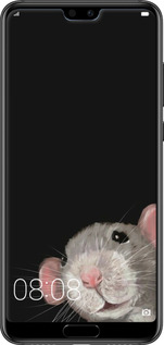 2D пластиковый чехол The Peeking Rat для Huawei P20 Pro - 6442t-1470 изображение 