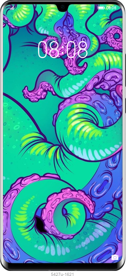 2D пластиковый чехол № 5427 для Huawei P30 Pro - 5427t-1621 изображение 