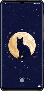 3D пластиковый матовый чехол Cute Cat Celestial/Witchy для Huawei P30 - 6787m-1622 изображение 