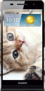 3D пластиковый глянцевый чехол Котик для Huawei Ascend P6 - 6024c-39 изображение 