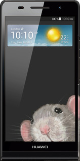 3D пластиковый глянцевый чехол The Peeking Rat для Huawei Ascend P6 - 6442c-39 изображение 