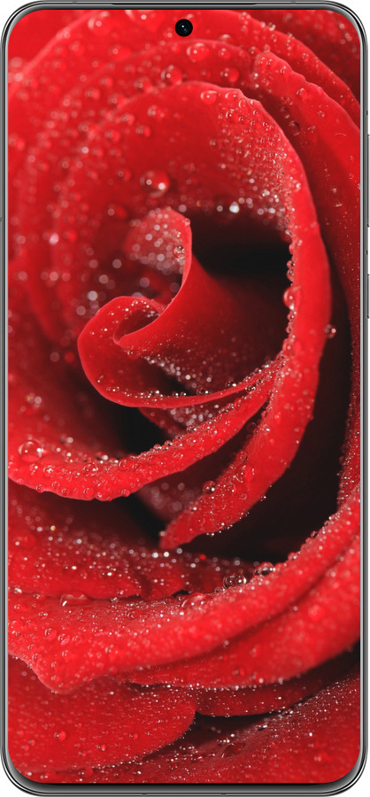 Силіконовий чехол Червона троянда для Huawei P60 - 529u-3024 изображение 