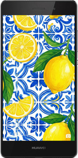 Силіконовий чехол Grocery Girl Italian Summer для Huawei Ascend P8 Lite - 6766u-126 изображение 