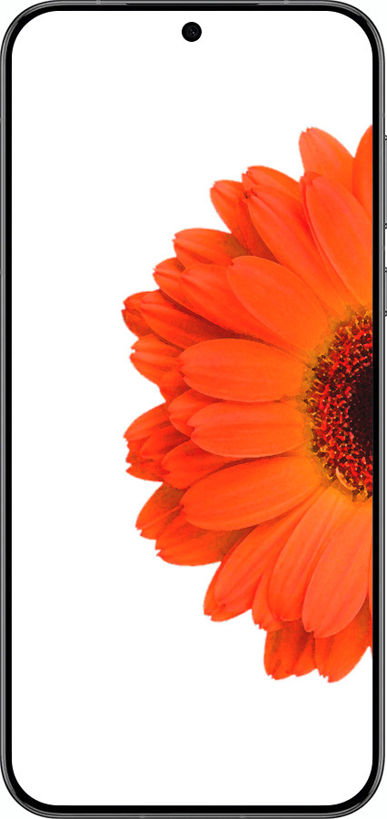Силіконовий чехол Гербера 1 для Huawei Pura 70 PRO - 4534u-3700 изображение 