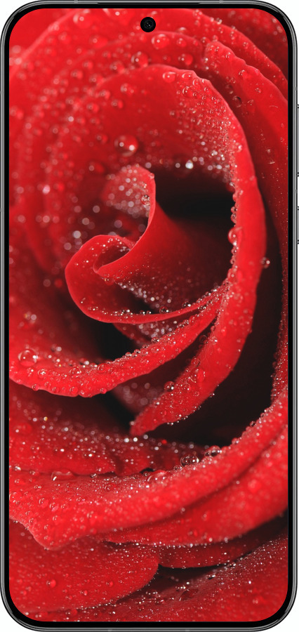 Силиконовый чехол Красная роза для Huawei Pura 70 PRO - 529u-3700 изображение 